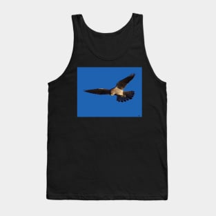 Kestrel in flight Tank Top